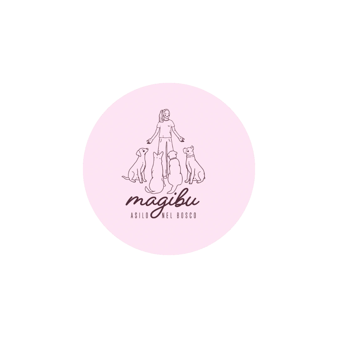 @magibu_educazionecinofila