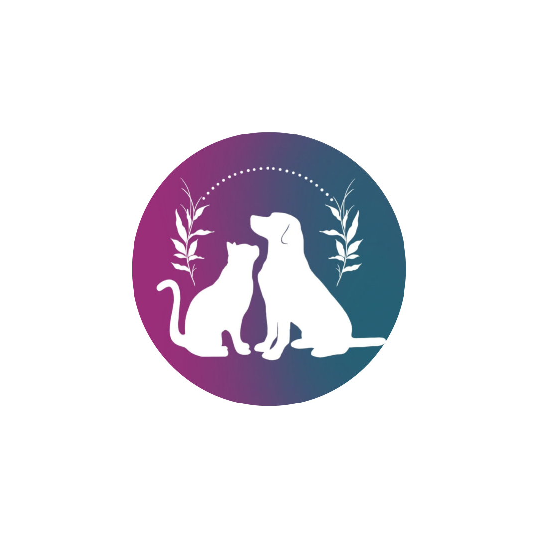 @aurora.dogcatsitter