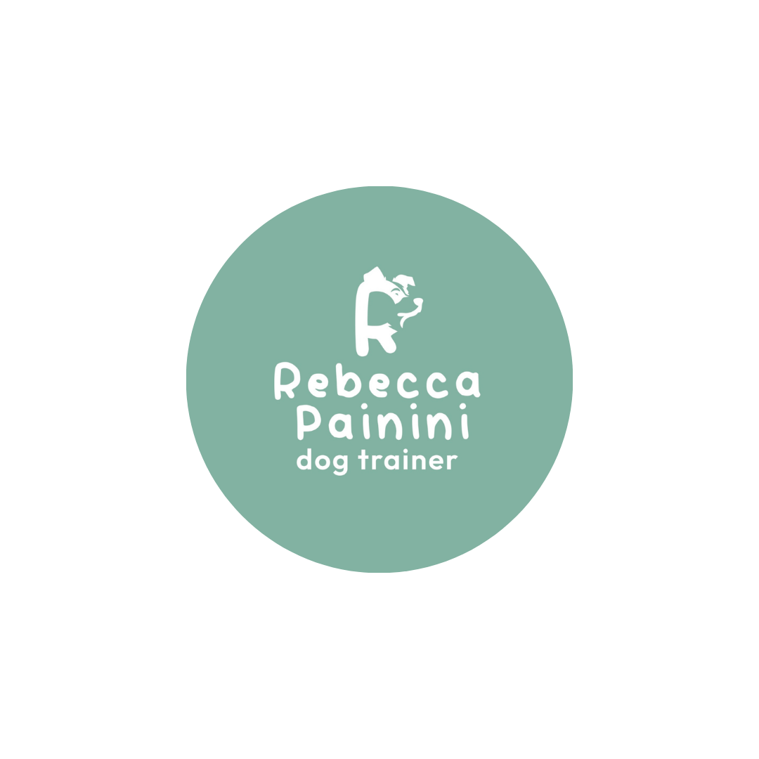 @rebedogtrainer